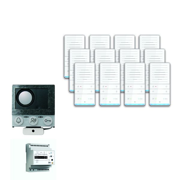 Sistema de control de puerta TCS audio: paquete de instalación para 12 unidades residenciales, con altavoz integrado ASI12000, altavoz manos libres 12x ISW5031, unidad de control BVS20, PAIF120 / 002