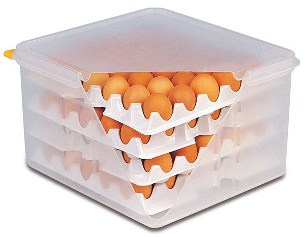 Caja para huevos APS GN 2/3, 35,4 x 32,5 cm, altura: 20 cm, polipropileno (caja + tapa), poliestireno (insertos), con tapa hermética, 82419