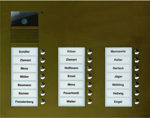 Estación exterior de video TCS serie AVU con 21 botones de timbre (alineados a la derecha), 3 columnas, bronce UP, AVU16210-0012