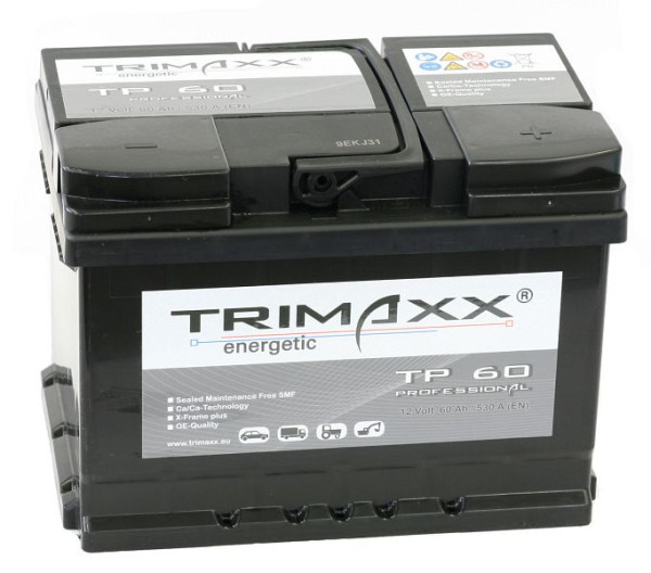 IBH TRIMAXX enérgico &quot;Professional&quot; TP60 por batería de arranque, 108 009200 20