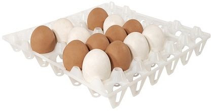 Bandeja Contacto para 30 huevos, blanca, 8034/030