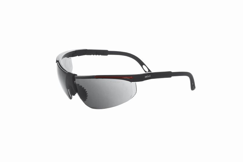 Gafas de seguridad AEROTEC IMOLA / Anti Fog - UV 400 - gris, 2012009
